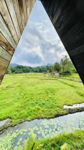 a view of a field from under a bridge at The wilds Sinharaja in Deniyaya