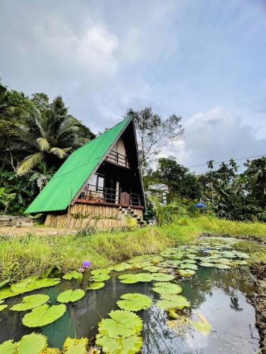 a house with a green roof next to a pond with lilies at The wilds Sinharaja in Deniyaya