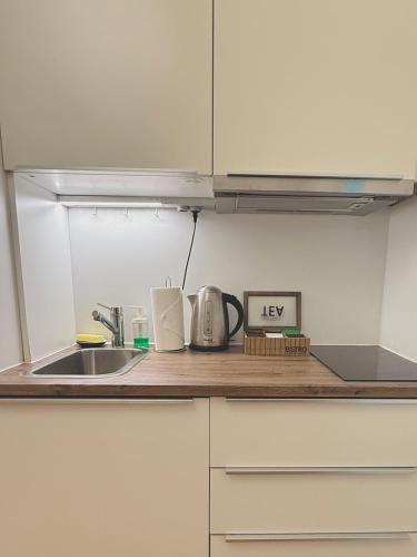 a kitchen with a sink and a counter top at The Rest Point Prague in Prague