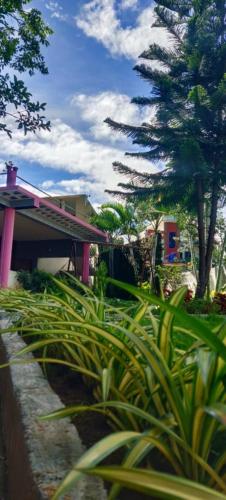 a group of plants in front of a building at Cloud9Villa Resorts in Yelagiri