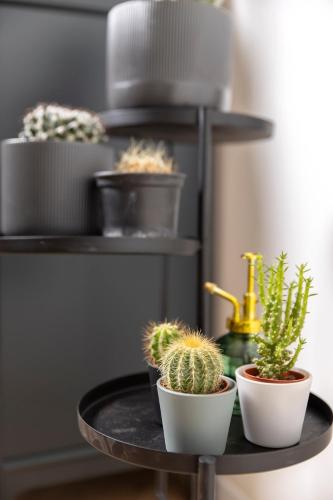 a table with cactuses and plants on a shelf at Apartment Nina in Bakar