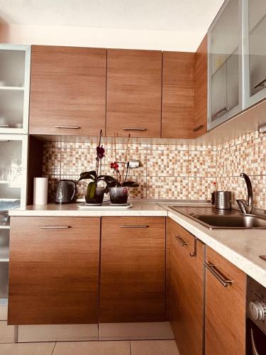 a kitchen with wooden cabinets and a sink at Katerina Apartment in Kavala