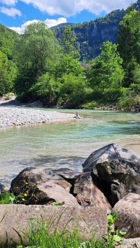 a river with some rocks in the water at Ferienwohnung Urmannsau in Gaming