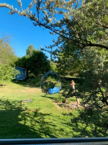 a person is playing with a ball in the grass at Das Sommerhaus in Zülow