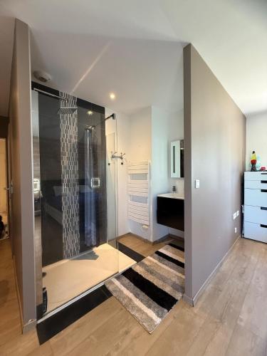 une salle de bain avec une douche en verre et un lavabo dans l'établissement Maison Côté Bordeaux Saint-Émilion Piscine Privée 3 Chambres, à Sadirac