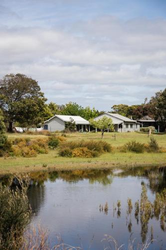 a group of houses next to a body of water at French Island Cottage in Fairhaven