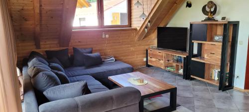 a living room with a couch and a tv at Betzemühle 1 Bauernhof in Altenschlirf