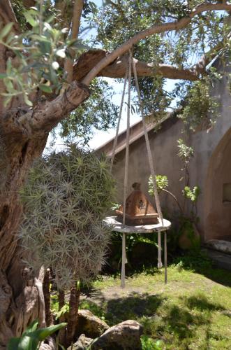 a swing hanging from a tree in a garden at La casa del panorama in Valverde
