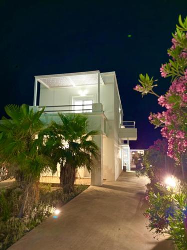 a white house with a palm tree at night at Lindos Villa Aqua Euphoria ex Natura in Líndos