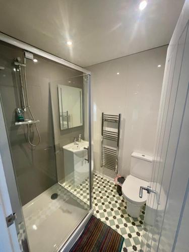 Un baño con ducha, inodoro y lavabo. en The Burrows, en Marytavy
