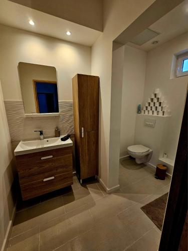 une salle de bain avec un lavabo et des toilettes dans l'établissement Le Lounge Hénaux, à Lille