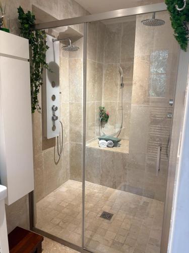 une douche avec une porte vitrée dans une salle de bain dans l'établissement Joli studio romantique à St Zach, à Saint-Zacharie
