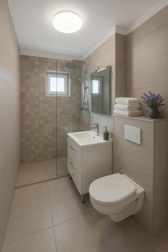 a bathroom with a toilet and a sink and a shower at Casiana Apartments in Timişoara