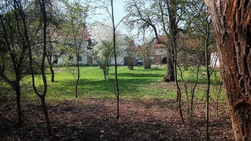 a group of trees in a park with grass at Villa Organica in Vroutek