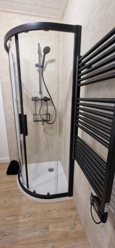 La salle de bains est pourvue d'une douche et d'une paroi en verre. dans l'établissement Le cosy du Théâtre, duplex confortable au centre de Chambéry, à Chambéry