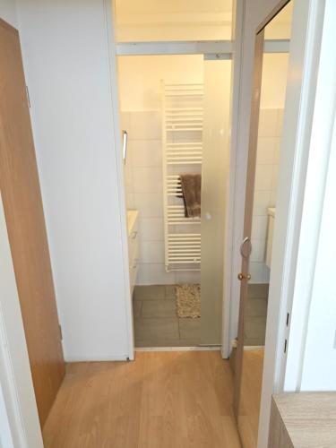 a bathroom with a walk in shower next to a door at 2 x Apartments bei Augsburger Platz 1x Nr 5 - Studio Apartment mit Balkon und Parkplatz und 1 x Nr5-B - 2 ZW ohne Balkon und Parkplatz in Stuttgart
