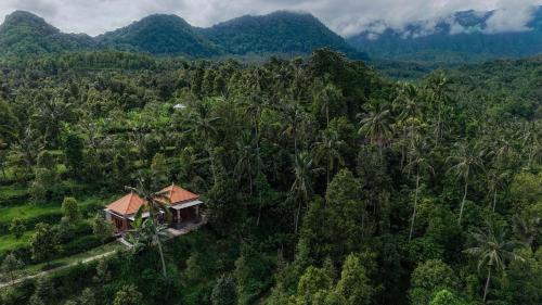 an aerial view of a house in the middle of a forest at The Sekumpul Villa in Sudaji