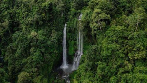 an aerial view of a waterfall in a forest at The Sekumpul Villa in Sudaji
