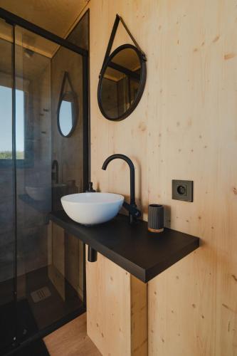 une salle de bain avec un lavabo et un miroir sur un comptoir dans l'établissement Parcel Tiny House - 20 minutes from Beauval Zoo, à Faverolles