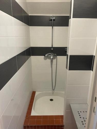 La petite salle de bains est pourvue d'une douche et de toilettes. dans l'établissement Voilier Port Deauville avec parking privé gratuit, à Deauville