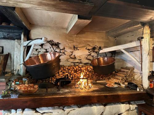 プルークガーンにあるSki und Wander Ferienwohnung Galsterberg-Blick Pruggern - Schladming-Dachsteinの火の上に鍋とフライパンが2つあるキッチン