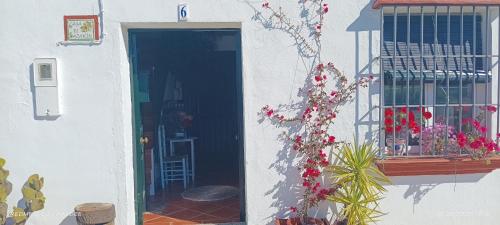 a door to a building with flowers on it at Casa El Azahin in Cazalla de la Sierra