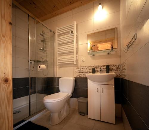a bathroom with a toilet and a sink and a shower at Domki w Beskidach- Agroturystyka" Babiogórski pejzaż" in Pewel Wielka