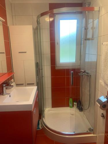 Koupelna v ubytování Apartman Miškec