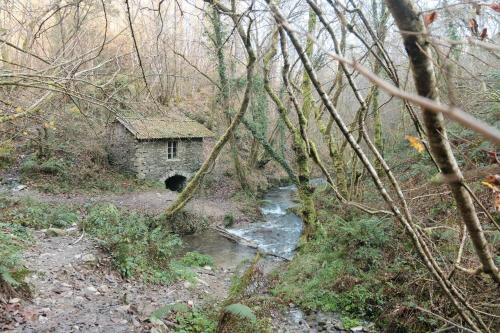 a building in the woods next to a stream at La Casona de Faedo Pensión in Faedo