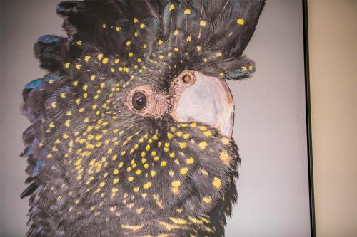 a painting of a bird with yellow dots on its head at Nightcap at the Charles Hotel in Wollongong