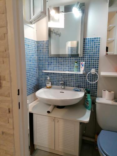 une salle de bain avec un lavabo et des toilettes dans l'établissement charming studio Carro-25 m2 - garden - close to beaches, à Martigues