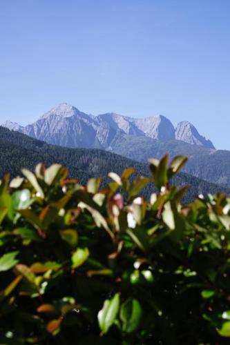 a view of snow covered mountains in the distance at Villa Luzzago in Ponte di Legno