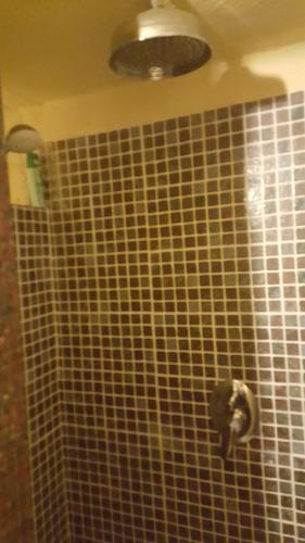 a bathroom with a shower with a tiled wall at Su Cuccumeu in Seui