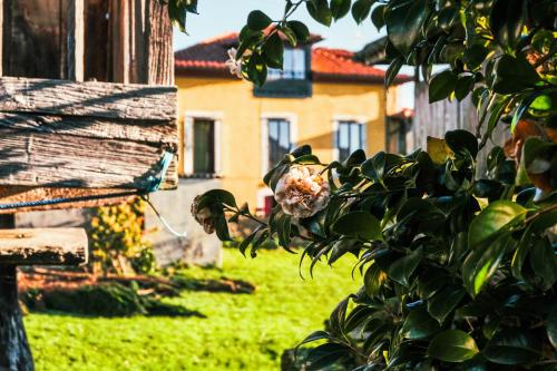 La Casona de Faedo Pensión