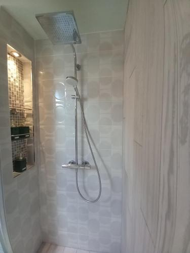 a shower with a shower head in a bathroom at Hemma Grove - A Songbird haven in Kilkenny