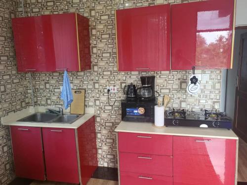 a kitchen with red cabinets and a sink at Bieni Homes in Nkunjila