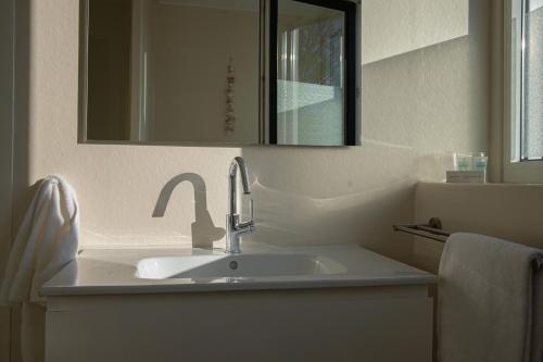 a bathroom with a sink and a mirror at Hotel-Restaurant De Walvisvaarder in Hollum