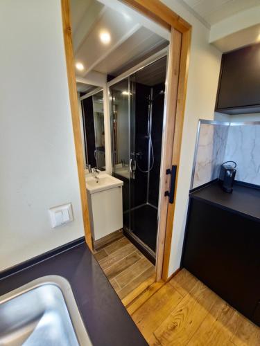 a bathroom with a shower and a sink and a tub at Jelsum aan de Ee in Jelsum