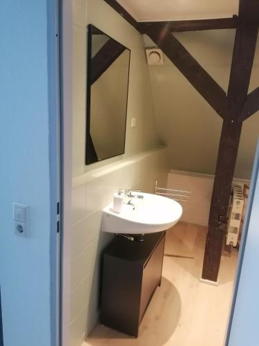 a bathroom with a sink and a mirror at Trobischhof in Dresden