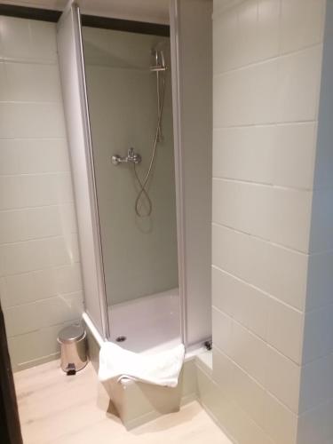 a shower with a glass door in a bathroom at Trobischhof in Dresden
