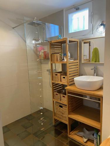 une salle de bain avec un lavabo et une douche dans l'établissement studio avec grand jardin, à La Ciotat