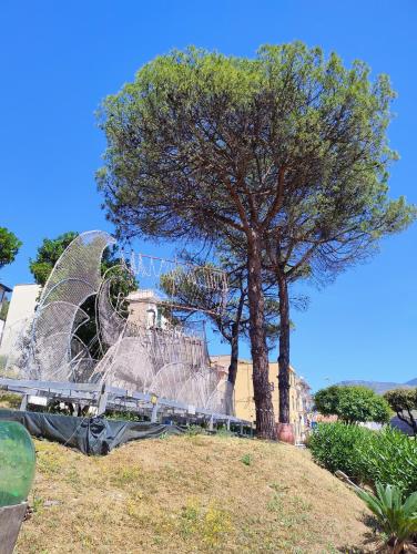 a tree sitting on top of a hill next to a tree at Al VICO TREDICI in Gaeta