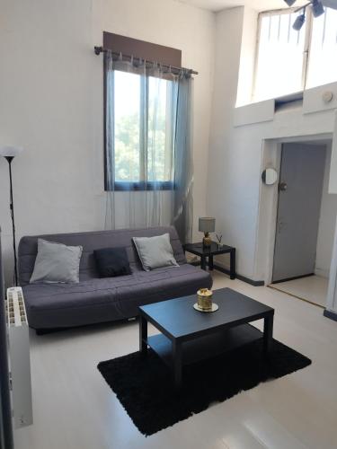 Joli appartement hyper centre Grenoble