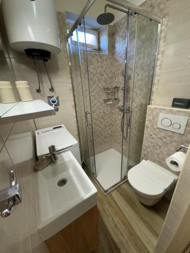 a bathroom with a shower and a sink and a toilet at Apartment Ela, Kostrena Rijeka in Kostrena