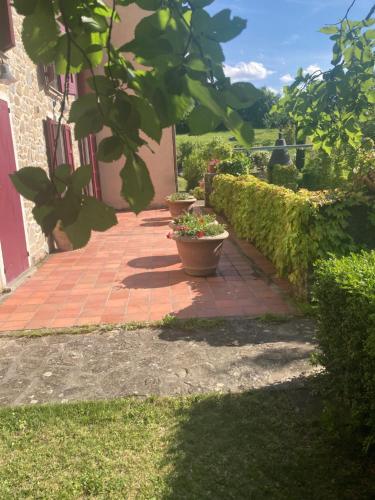 Zahrada ubytování Agriturismo Campo del Pillo