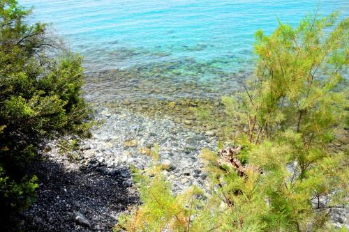 Φυσικό τοπίο κοντά σε αυτό το διαμέρισμα