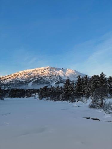 a mountain covered in snow with trees in the foreground at Hovdestøylen Apartments in Hovden