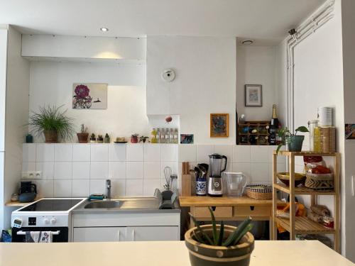 une cuisine avec un évier et un plan de travail dans l'établissement Cozy bright apartment Croix Roussien, à Lyon