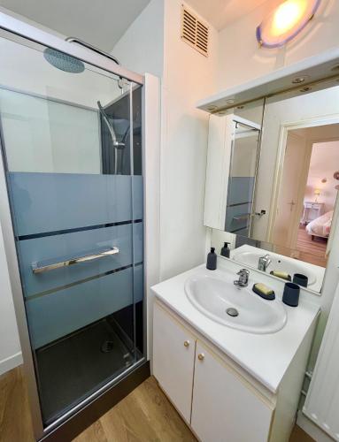 une salle de bain avec un lavabo et une douche dans l'établissement L'Hélios - T1 Bis - Bord de Sarthe, au Mans
