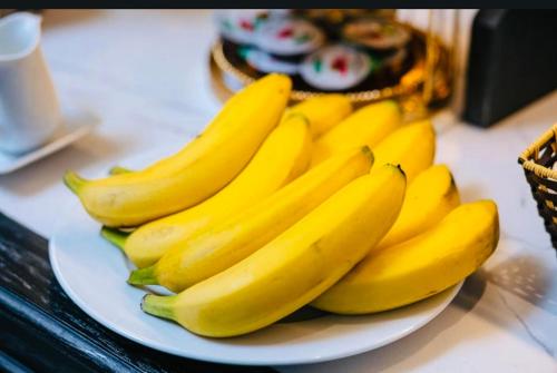 Jídlo v hotelu nebo okolí